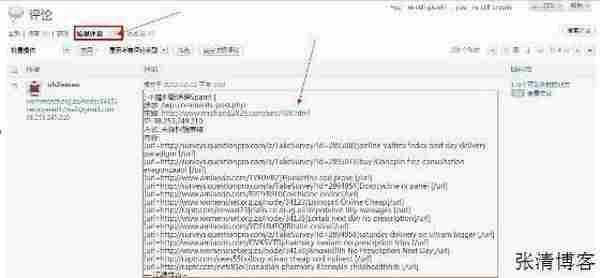 浅谈独立博客评论式推广利与弊