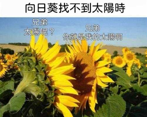 人家有人包养你行吗 囧图 你和你的两位攀岩教练