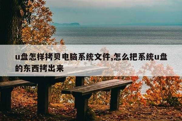 u盘怎样拷贝电脑系统文件,怎么把系统u盘的东西拷出来