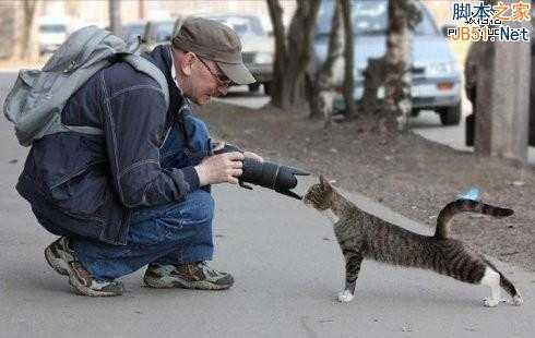 如何利用好奇心吸粉 提高公众号活跃度?